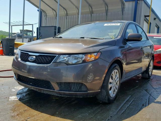 KNAFU4A29D5731442 - 2013 KIA FORTE EX GRAY photo 2