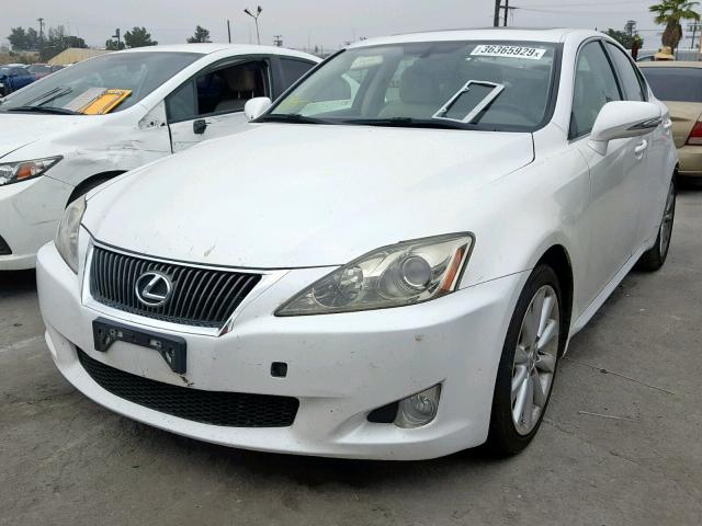 JTHBF5C28A5115286 - 2010 LEXUS IS 250 WHITE photo 2