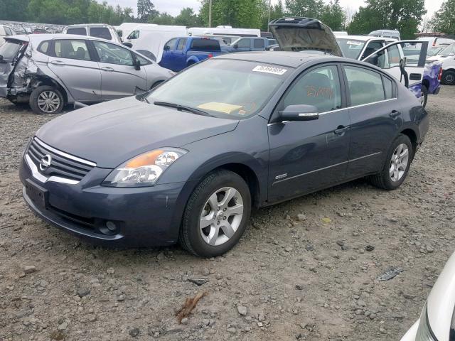 1N4CL21E99C179411 - 2009 NISSAN ALTIMA HYB GRAY photo 2