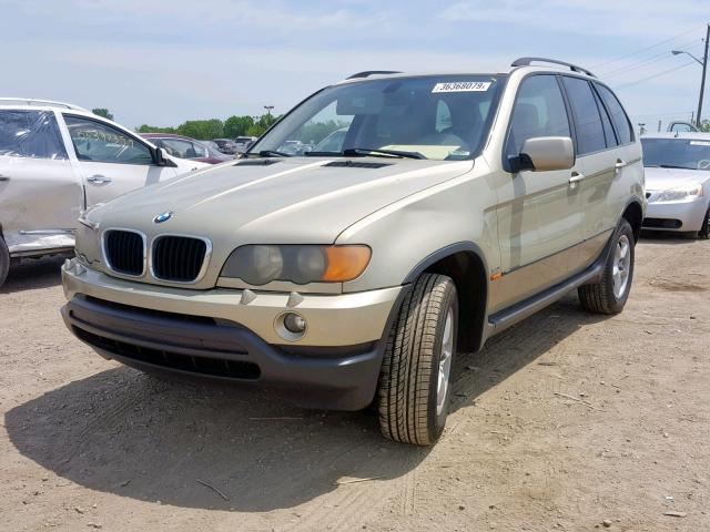 5UXFA53533LV93141 - 2003 BMW X5 3.0I GOLD photo 2