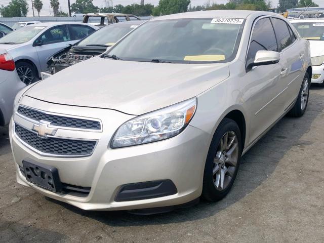 1G11C5SA9DF151848 - 2013 CHEVROLET MALIBU 1LT ოქროსფერი ფოტო 2
