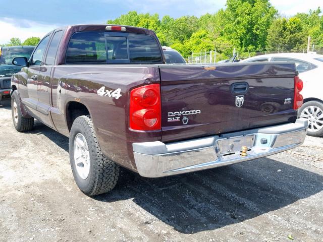 1D7HW42N85S127484 - 2005 DODGE DAKOTA SLT MAROON photo 3