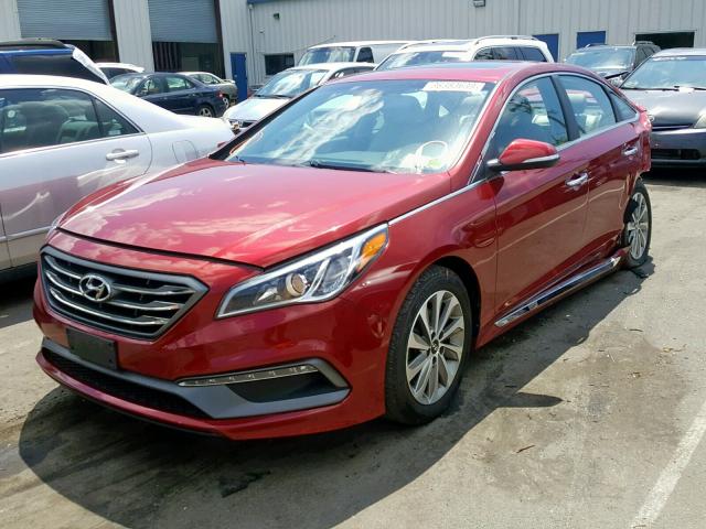 5NPE34AF3GH428259 - 2016 HYUNDAI SONATA SPO RED photo 2