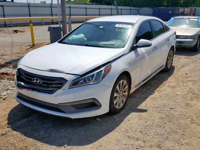 5NPE34AF7FH043141 - 2015 HYUNDAI SONATA SPO WHITE photo 2