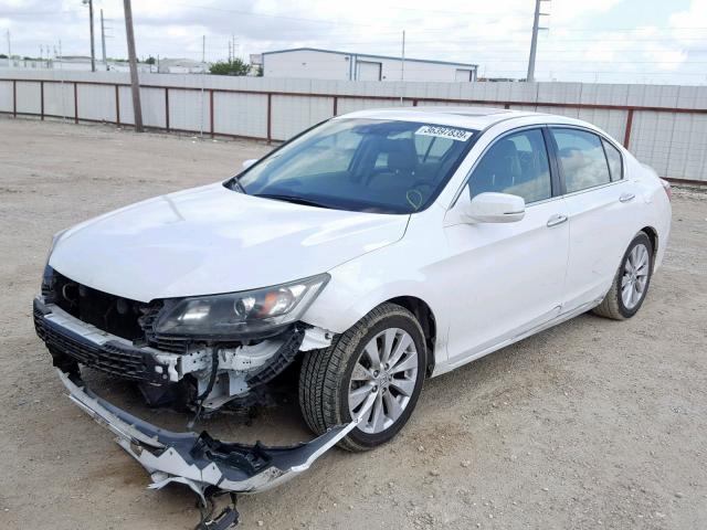 1HGCR2F83FA129897 - 2015 HONDA ACCORD EXL WHITE photo 2