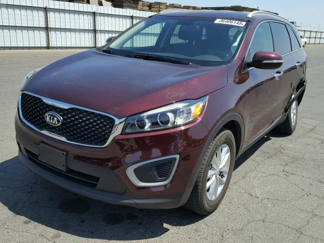 5XYPG4A30GG145392 - 2016 KIA SORENTO LX MAROON photo 2