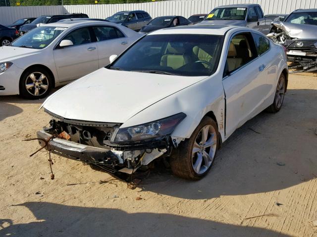 1HGCS2B88CA001175 - 2012 HONDA ACCORD EXL WHITE photo 2