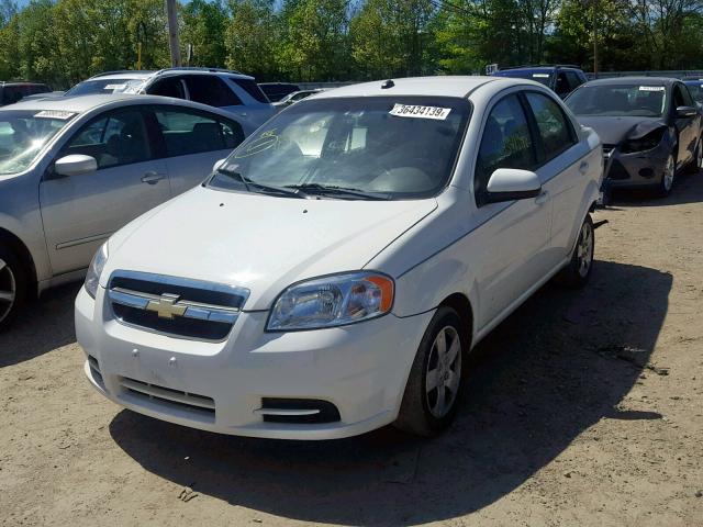 KL1TD5DE6BB201100 - 2011 CHEVROLET AVEO LS WHITE photo 2