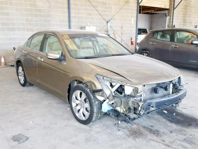 1HGCP3F85AA024248 - 2010 HONDA ACCORD EXL GOLD photo 1