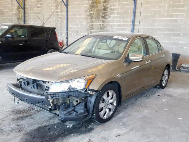 1HGCP3F85AA024248 - 2010 HONDA ACCORD EXL GOLD photo 2