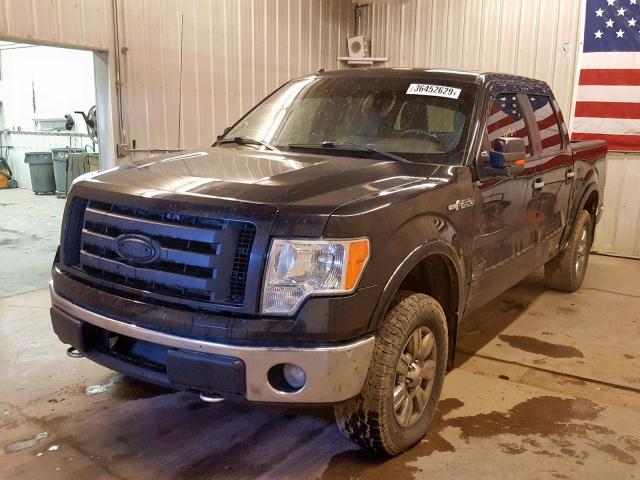 1FTFW1EV1AFA39987 - 2010 FORD F150 SUPER BLACK photo 2