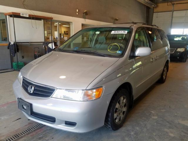 5FNRL18054B083750 - 2004 HONDA ODYSSEY EXL  photo 2