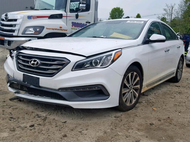 5NPE34AF8FH062376 - 2015 HYUNDAI SONATA SPO WHITE photo 2