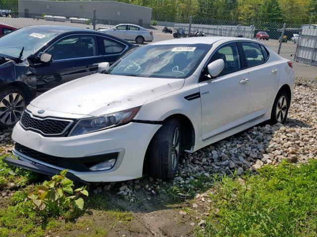 KNAGM4AD2D5049007 - 2013 KIA OPTIMA HYB WHITE photo 2