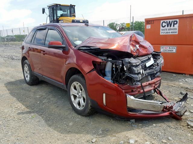 2FMDK4JC2EBA98428 - 2014 FORD EDGE SEL ORANGE photo 1