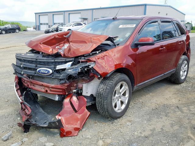 2FMDK4JC2EBA98428 - 2014 FORD EDGE SEL ORANGE photo 2