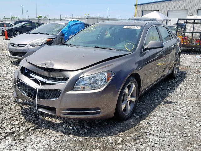 1G1ZC5EU8BF331196 - 2011 CHEVROLET MALIBU 1LT BROWN photo 2