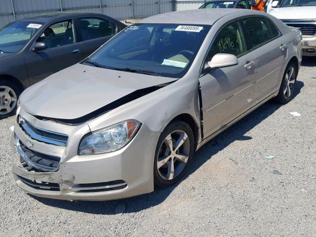 1G1ZC5E1XBF255678 - 2011 CHEVROLET MALIBU 1LT 金色 照片 2