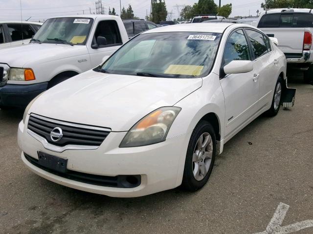 1N4CL21E69C152571 - 2009 NISSAN ALTIMA HYB WHITE photo 2