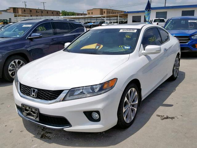 1HGCT2B81EA002135 - 2014 HONDA ACCORD EXL WHITE photo 2