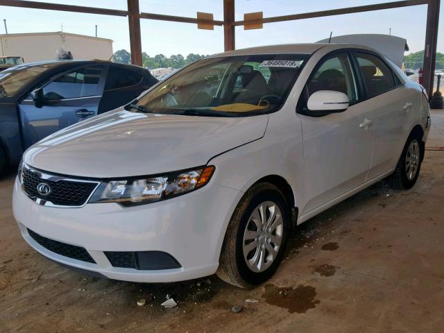 KNAFU4A24D5695546 - 2013 KIA FORTE EX WHITE photo 2