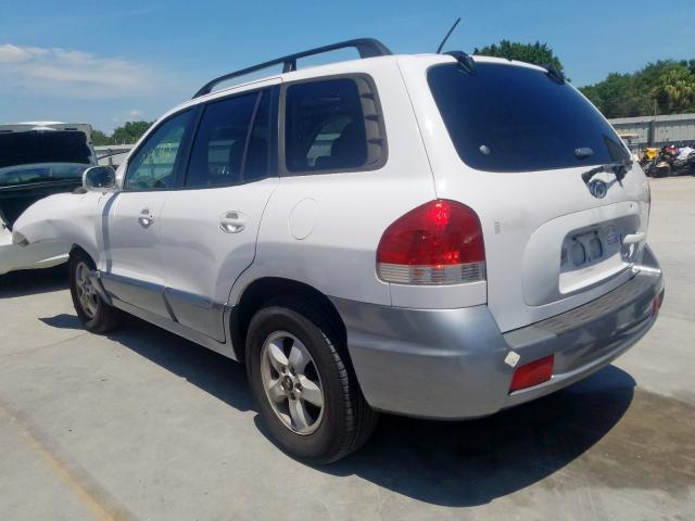 KM8SC13DX6U057761 - 2006 HYUNDAI SANTA FE GLS  photo 3