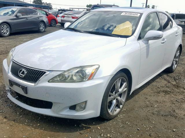 JTHBK262792088343 - 2009 LEXUS IS 250 WHITE photo 2