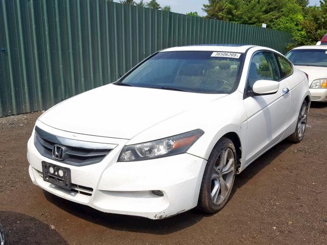 1HGCS2B87CA007436 - 2012 HONDA ACCORD EXL WHITE photo 2