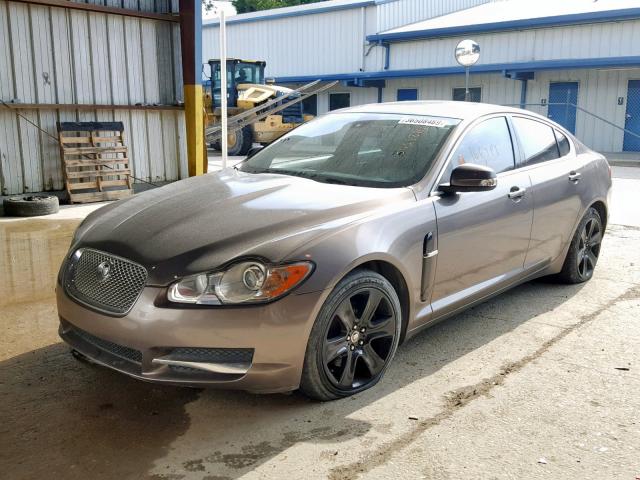 SAJWA05B59HR09594 - 2009 JAGUAR XF LUXURY BROWN photo 2