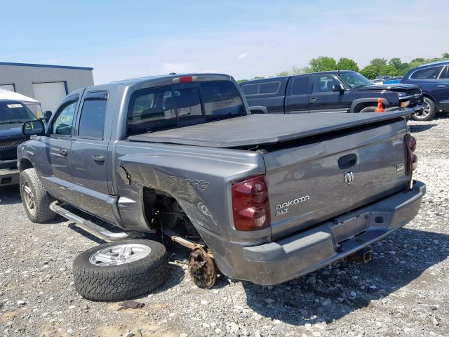 1D7HE48P57S259262 - 2007 DODGE DAKOTA QUA GRAY photo 3