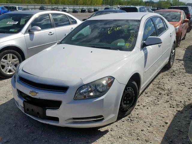 1G1ZC5EB2A4141435 - 2010 CHEVROLET MALIBU 1LT 白色 照片 2