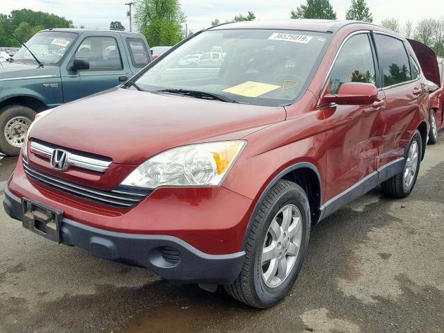 JHLRE48787C015505 - 2007 HONDA CR-V EXL RED photo 2