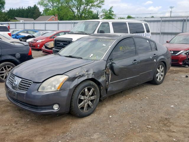 1N4BA41E14C925713 - 2004 NISSAN MAXIMA SE GRAY photo 2