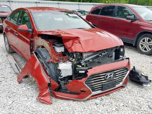 5NPE34AF1JH634767 - 2018 HYUNDAI SONATA SPO RED photo 1