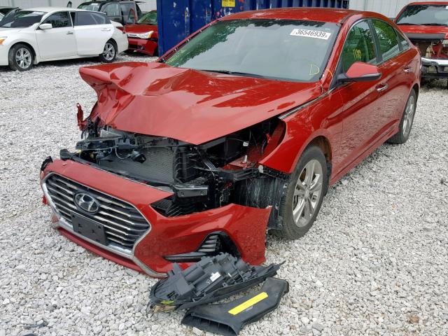 5NPE34AF1JH634767 - 2018 HYUNDAI SONATA SPO RED photo 2