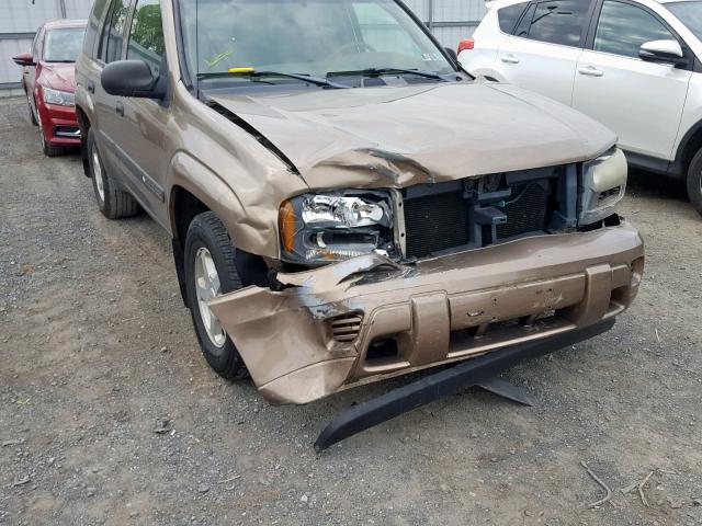 1GNDT13S132219139 - 2003 CHEVROLET TRAILBLAZE TAN photo 9