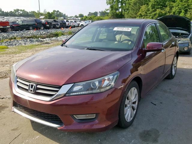 1HGCR2F86DA056781 - 2013 HONDA ACCORD EXL MAROON photo 2