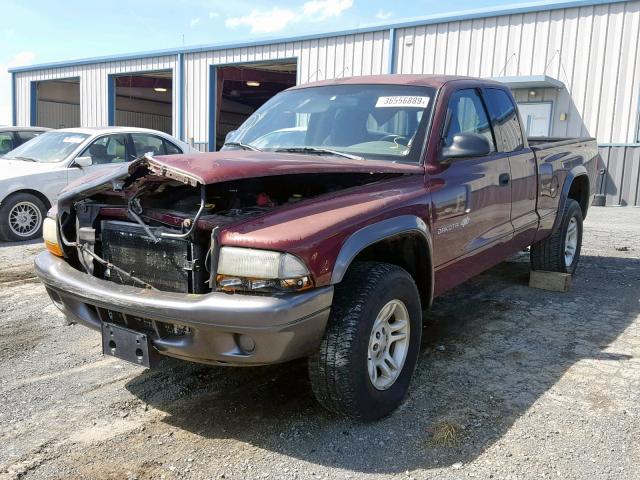 1B7GG12X72S602847 - 2002 DODGE DAKOTA BAS RED photo 2