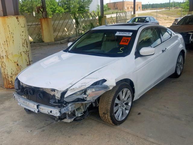 1HGCS22899A003509 - 2009 HONDA ACCORD EXL WHITE photo 2