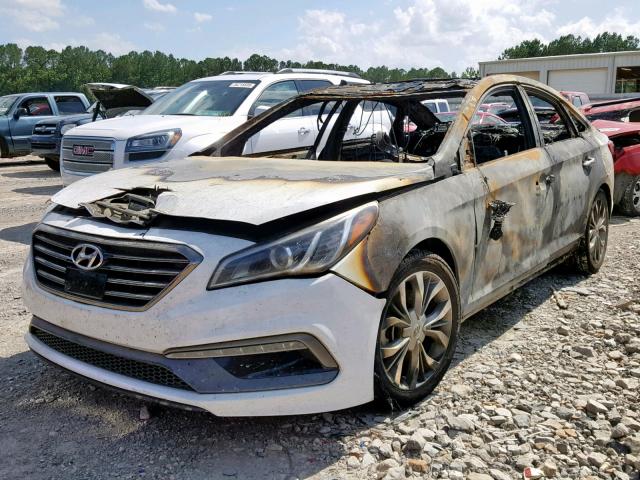 5NPE34AB9FH250661 - 2015 HYUNDAI SONATA SPO WHITE photo 2