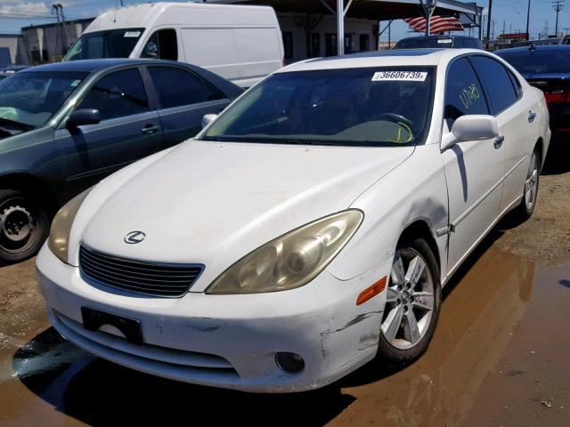 JTHBA30G155104655 - 2005 LEXUS ES 330 WHITE photo 2