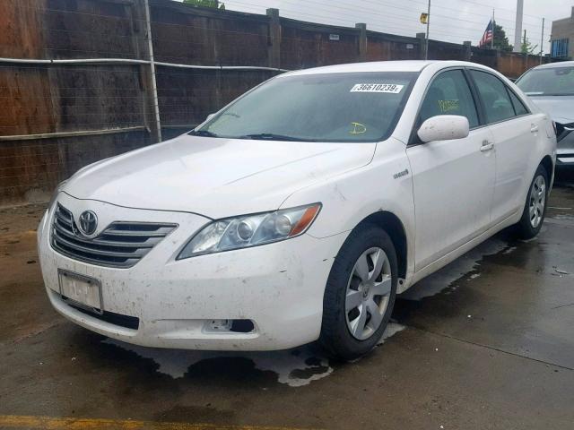 4T1BB46K28U032578 - 2008 TOYOTA CAMRY HYBR WHITE photo 2