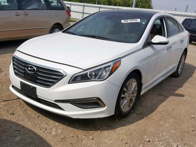 5NPE34AF8FH222627 - 2015 HYUNDAI SONATA SPO WHITE photo 2