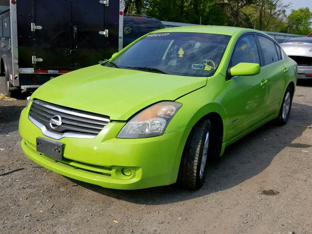 1N4CL21E89C142432 - 2009 NISSAN ALTIMA HYB GREEN photo 2