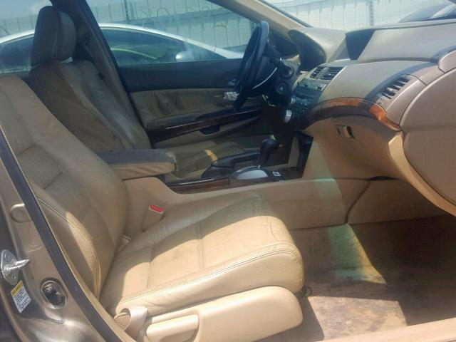 1HGCP26829A040204 - 2009 HONDA ACCORD EXL GOLD photo 5