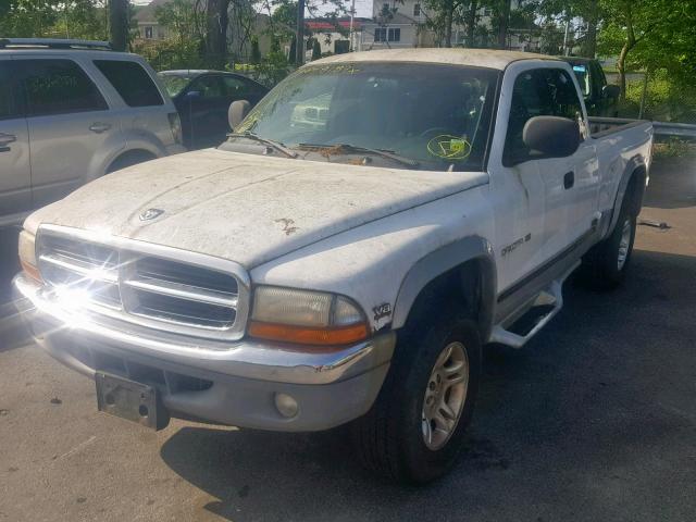 1B7GG22Y5XS249899 - 1999 DODGE DAKOTA WHITE photo 2