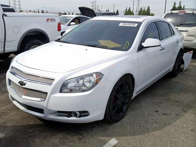 1G1ZE5E12BF363318 - 2011 CHEVROLET MALIBU LTZ თეთრი ფოტო 2