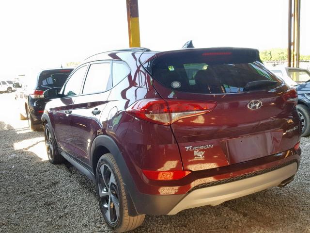 KM8J33A2XHU344075 - 2017 HYUNDAI TUCSON LIM RED photo 3