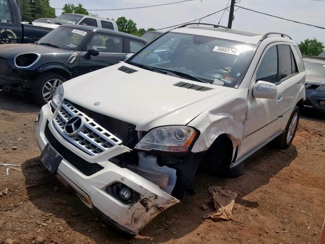 4JGBB86E49A484343 - 2009 MERCEDES-BENZ ML 350 WHITE photo 2