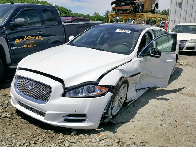 SAJWJ2GD9D8V49961 - 2013 JAGUAR XJL PORTFO WHITE photo 2